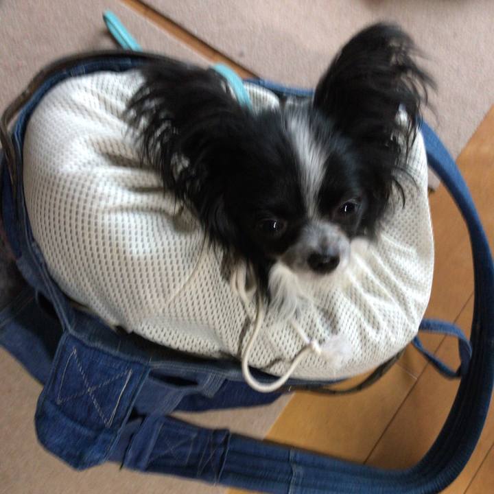 8338ac79 8046 45aa 9c1f e11b9238c4e3