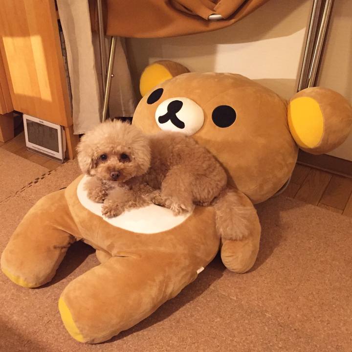 83397419 84be 4b3e a104 2c703ebd89e9