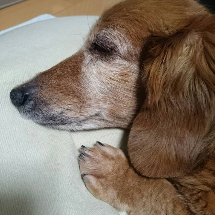 83398a0a b9fc 4396 abbd 162e7e9138ae