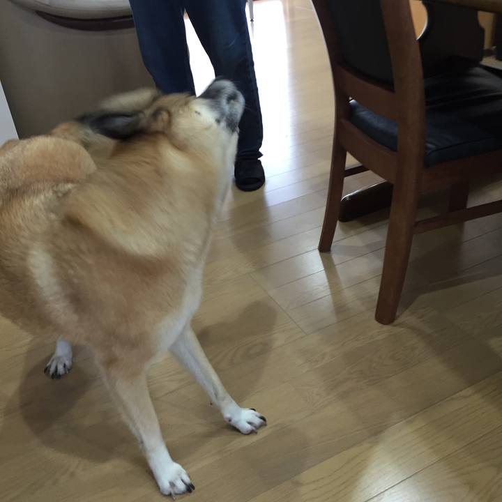 833a1856 533f 444c 83aa 3f6ee8355b34