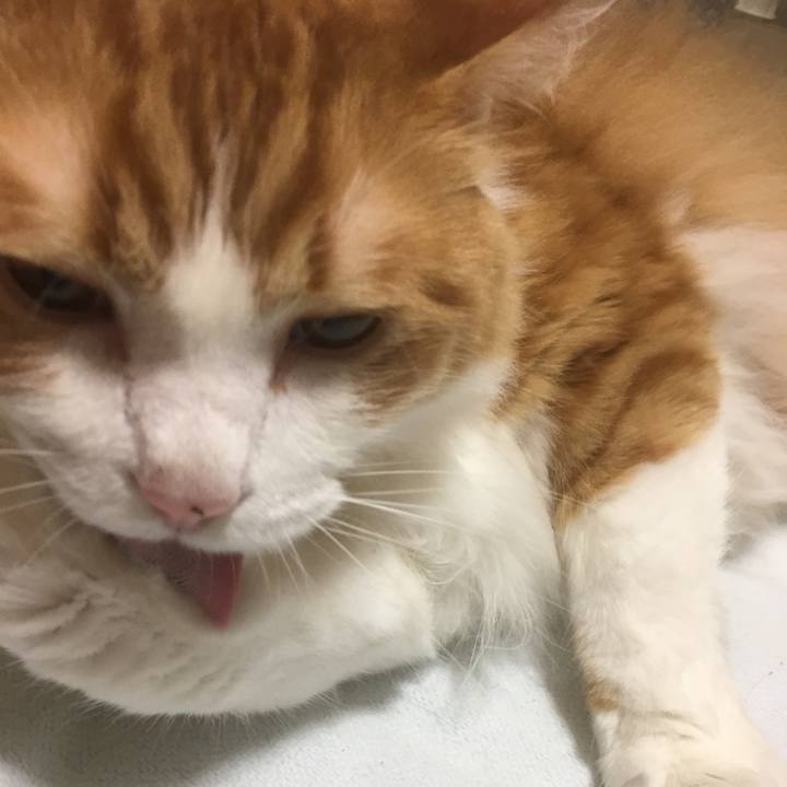 833a2e41 e534 412d 80a6 0b7b7e8eb3a0