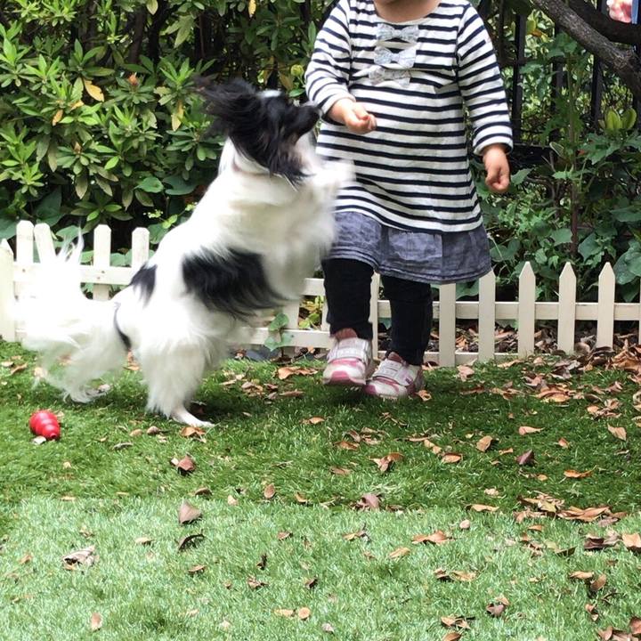 833bbca3 0e00 444d a609 9c21fc3eca87