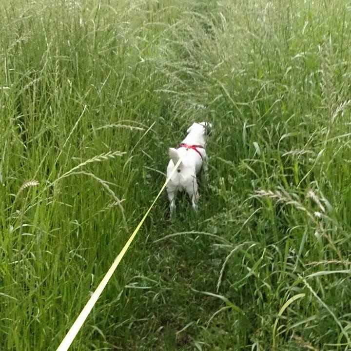 833e1360 1912 4391 a636 04f15beb3b43