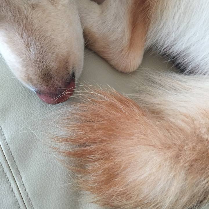 833ea86e 27ee 4132 a0a8 9d192a2e5689