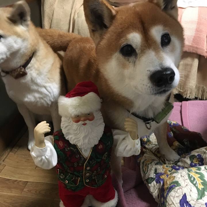 833ecf98 038b 4fa5 bcdd f8adb5e4f116