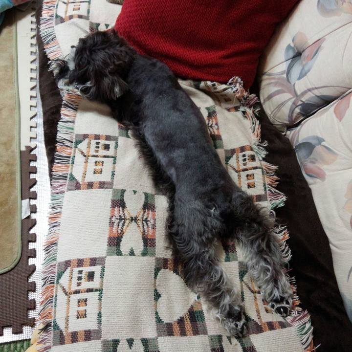 833ed35a 850f 46cf b3b2 9f26e2df580e