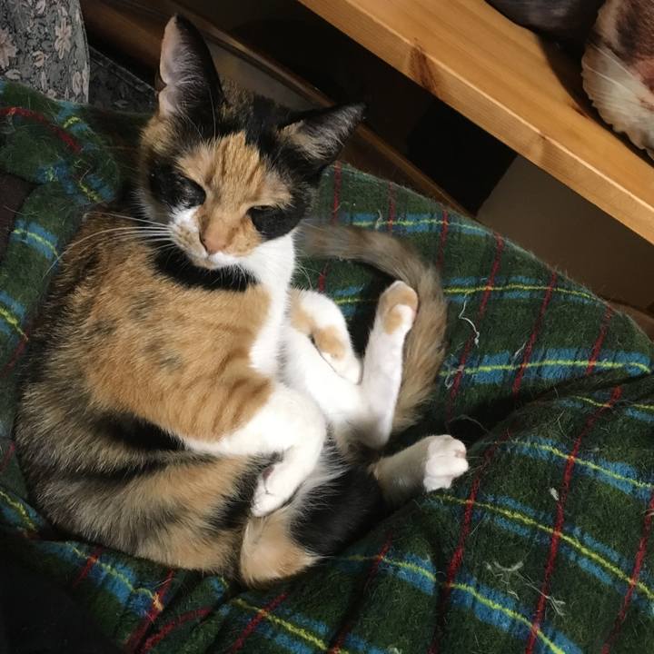 833f2322 3ada 44e5 9211 b9e2c710f590