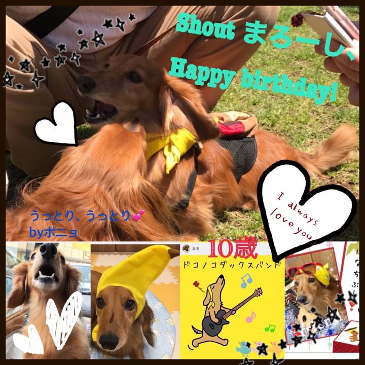 833f3b4b 2b1b 4406 9865 0265d00f503c