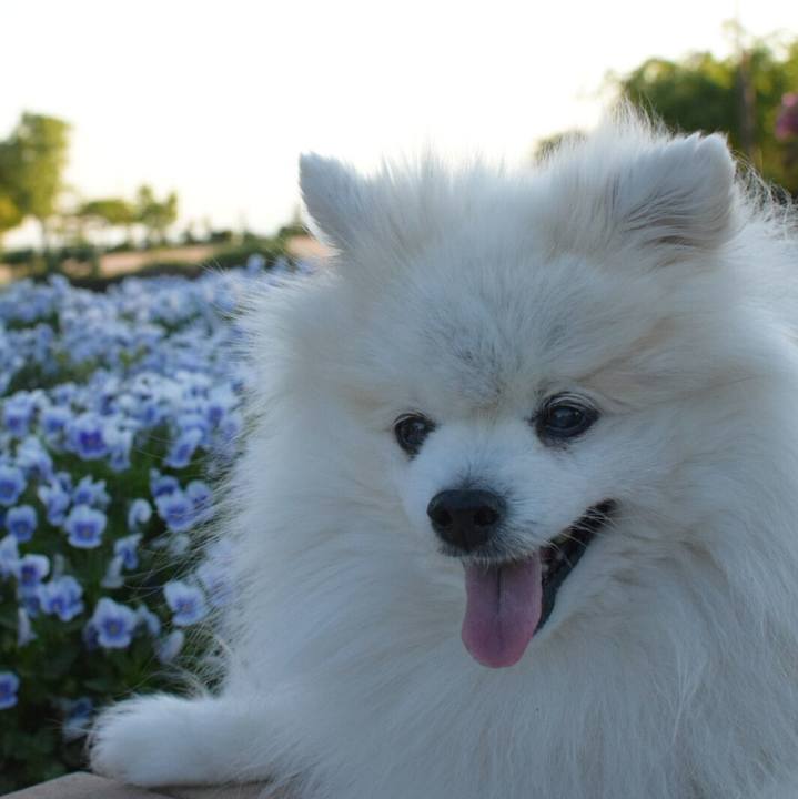 833f898d 718f 43bb 87e0 46936ddaac3d