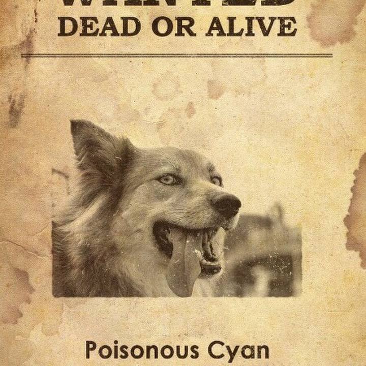 833fb87b e6de 4a19 aeb5 67107bc49adc