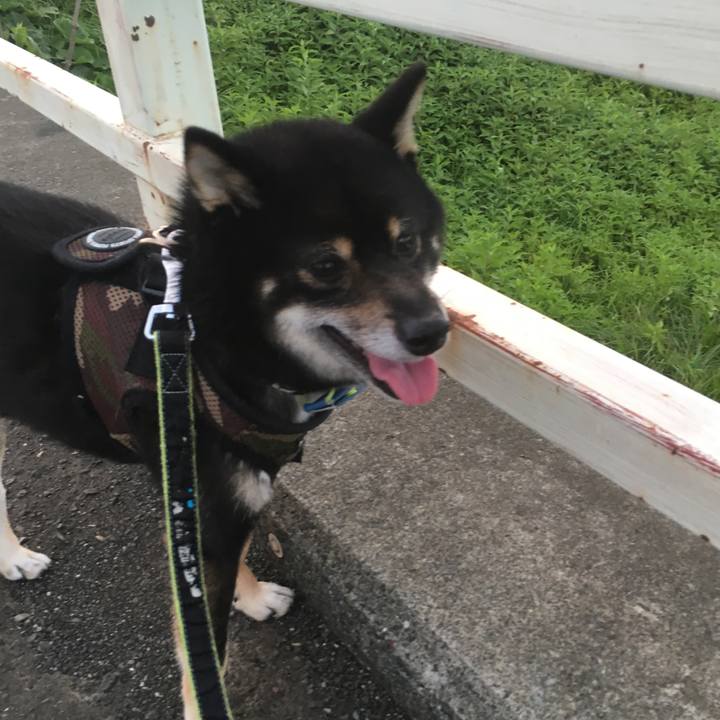 833ff791 ec9a 4193 b2a6 1ec19d69b052