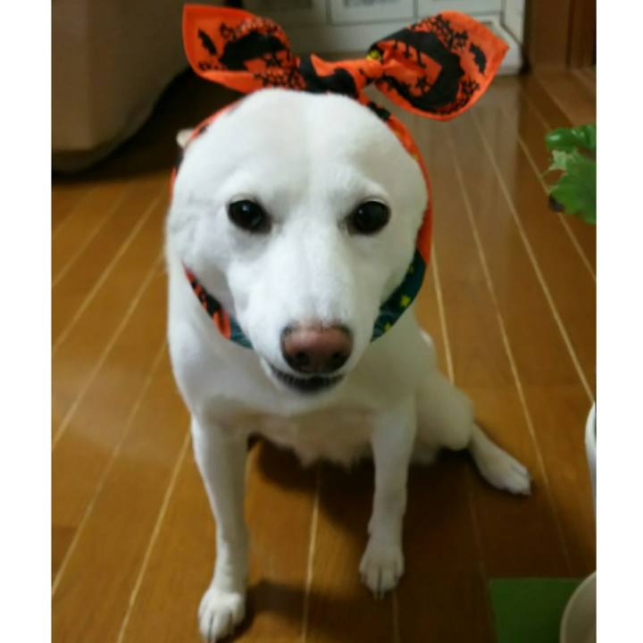 8340a34f 363f 41e7 97a1 8401367e915a