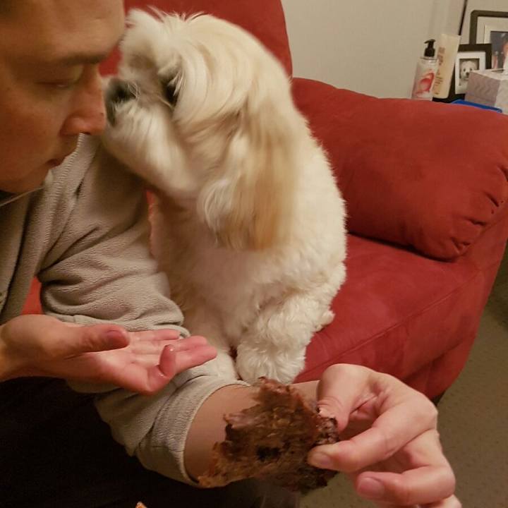 8340e08a 5e94 4887 bf09 4c30d72a041a