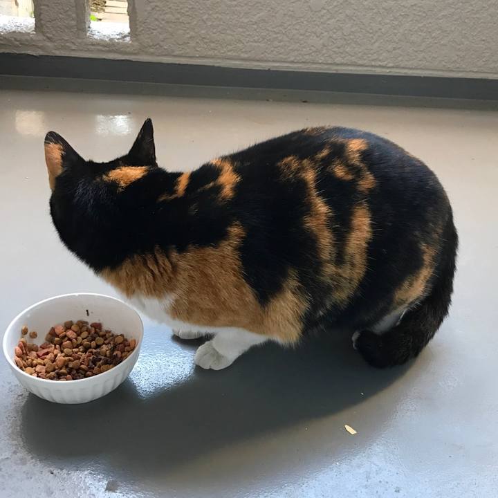 8341147a d370 49d8 9ab9 b7d15b28174f