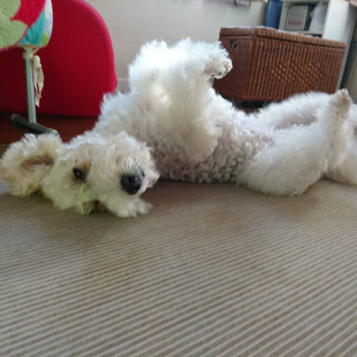 83417af9 88ac 49f2 9a28 71c70273c56b