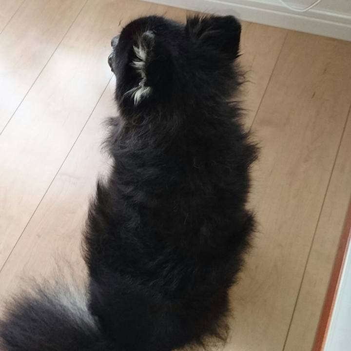 83419afc b641 4fe3 a7f5 c7e80727482f