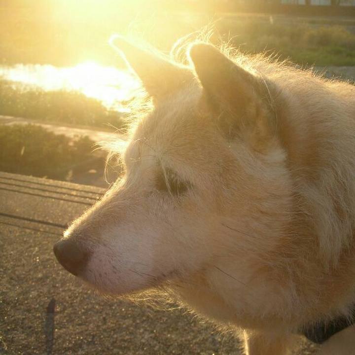 8341bc5e f6be 402e b39a 0abf9b9e609a