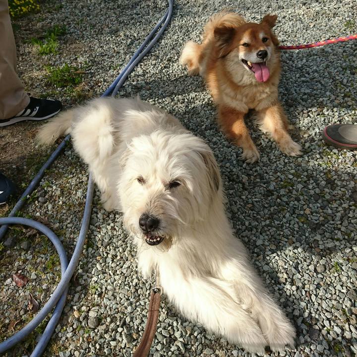 83420c60 a793 4565 9be7 02058026f88e