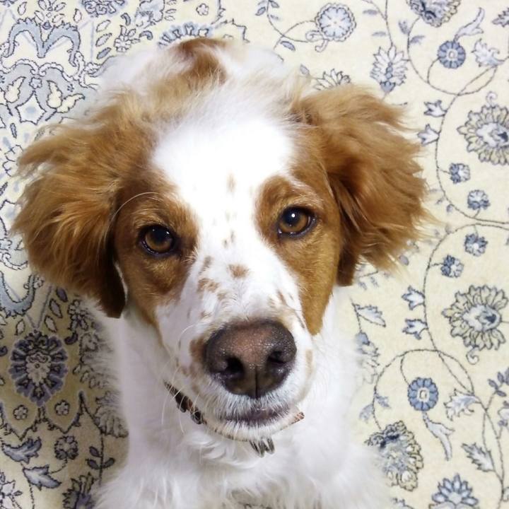 83424ae2 1732 42ee 9897 00dc518c0c76