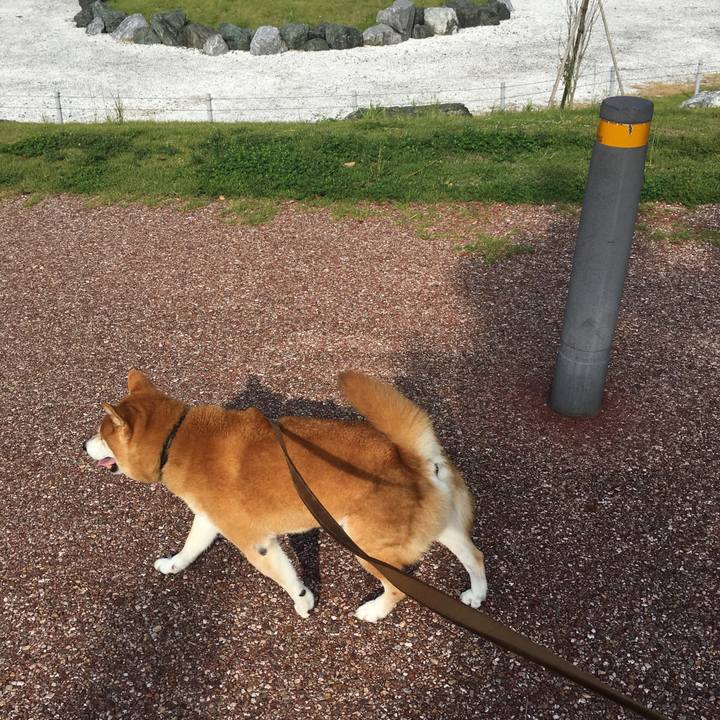 83425927 71ef 4b33 af36 abf32209e393