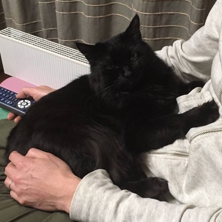 8343a5e9 cc93 40f6 a4b8 8f01d2354976