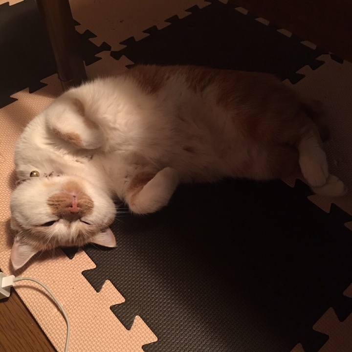 8343c4f1 430c 4f49 9d25 72144469f630