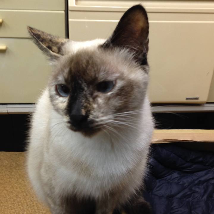 8343cb59 f6d2 4a22 9f9d 361f90bfca22