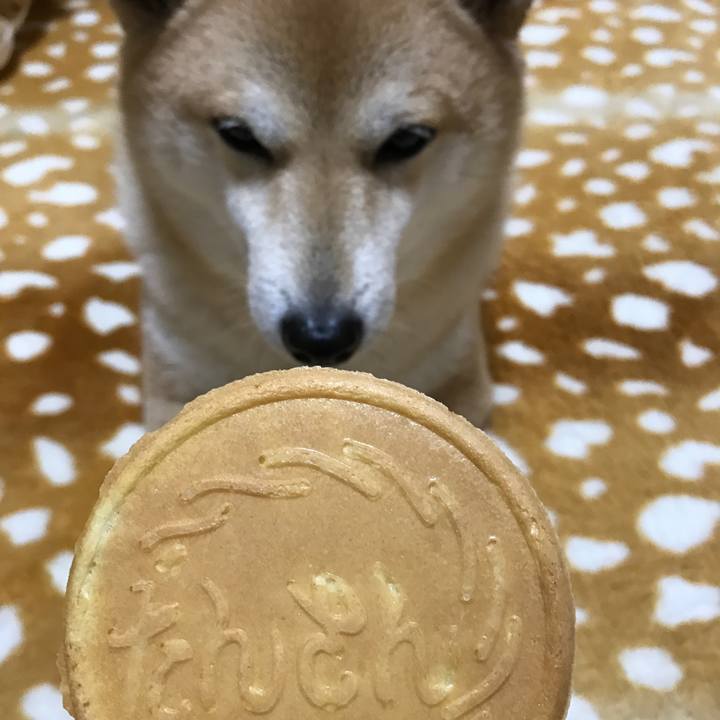 8343e575 452a 43fd 9c5f a9a000029157