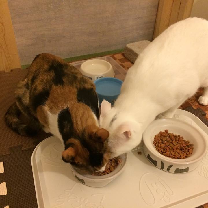 8344a634 3248 4f4c 84b7 b86891d10456