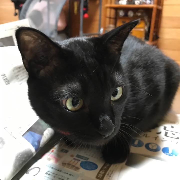 8344af08 3de4 4844 a564 32fbcb7ab291