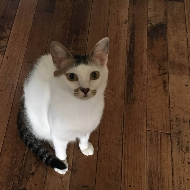 8344d2c9 1b97 46a3 8567 5bad303d7de6