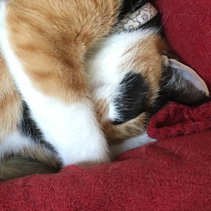 8344f1f2 2828 431d 92e0 8fe4f0b7aa07