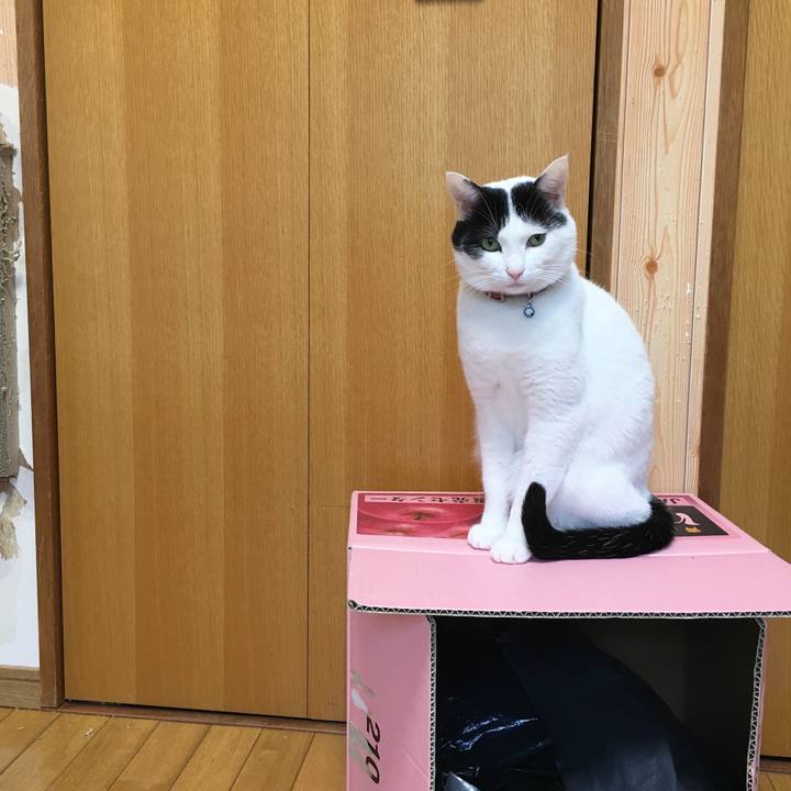 8345a35f 1eac 4f1e 8463 cea91dca7cf1