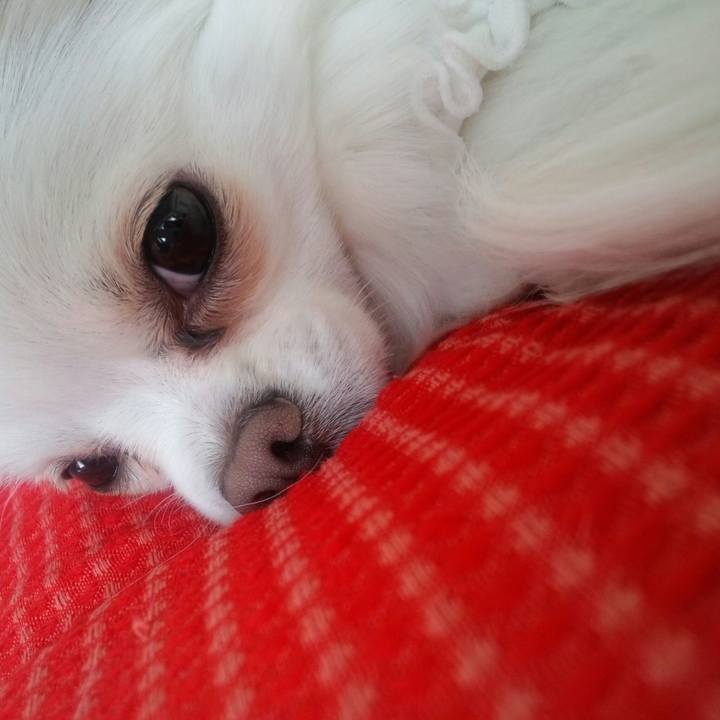 8346eb79 e3fd 466c 95a0 850a5402e0fd