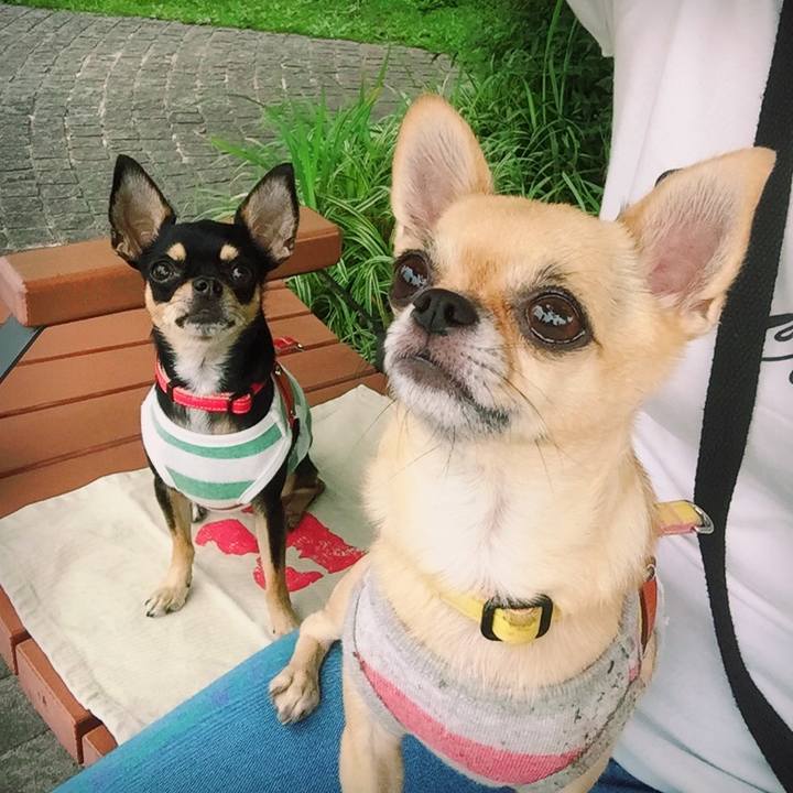 8346f4a0 1975 42ef a751 3593006657b0