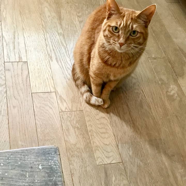 8346f646 d6c7 4521 9eac 404b337496ab