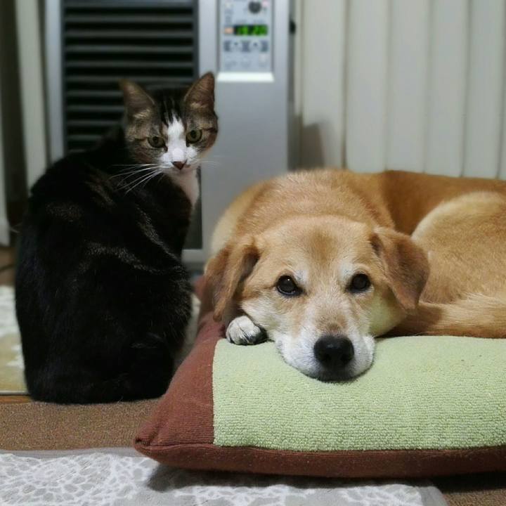 83484434 db09 4b2c b7ba 852622844b7d