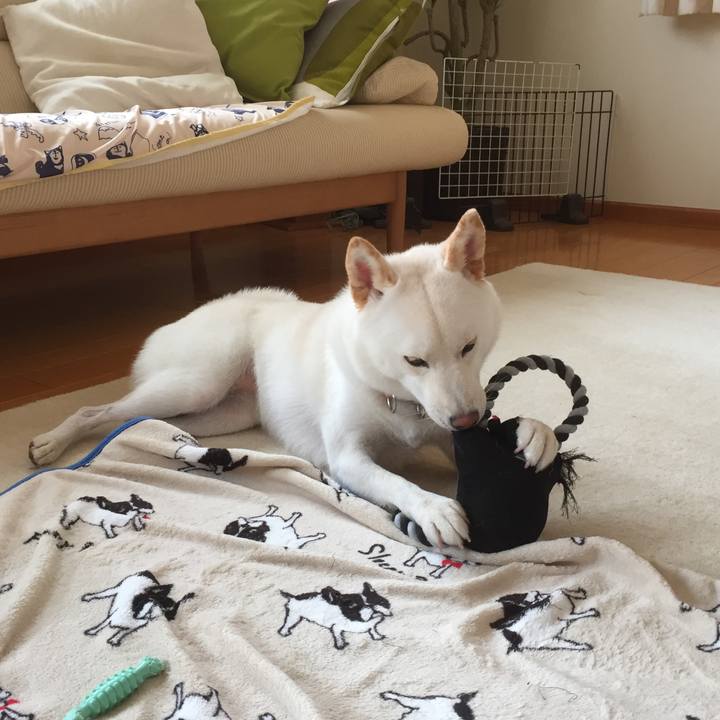 83485ea7 70d7 40c4 8e25 80537512a57f