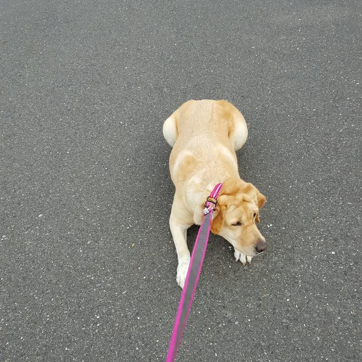 83489bba 9e31 4ed8 a17d b15790b25aa6