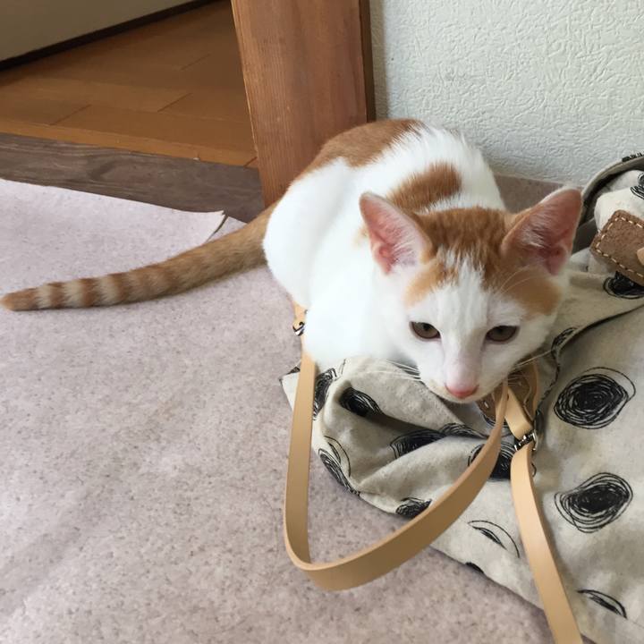 83491d81 6724 4079 8793 6a776267a39f