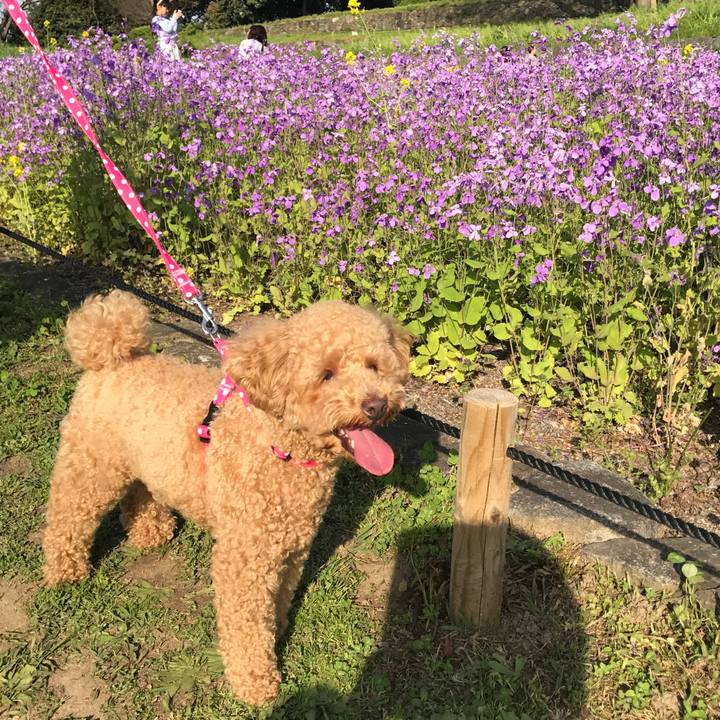 8349b964 d103 482e 9da9 06b918f352c1