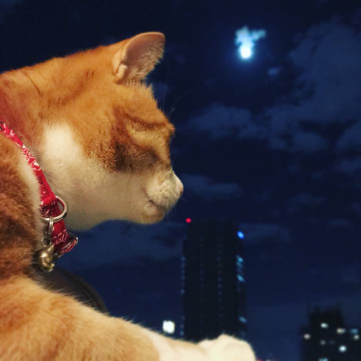 834a4e82 0080 475f 9a36 2b8f0d3cb311