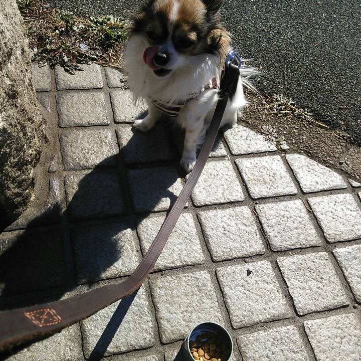 834b6814 9d09 41df bf5d 201a5e758a4a