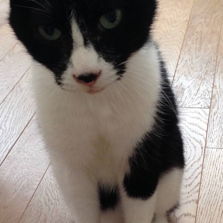 834baf26 cfa4 4046 8662 23758136fa22