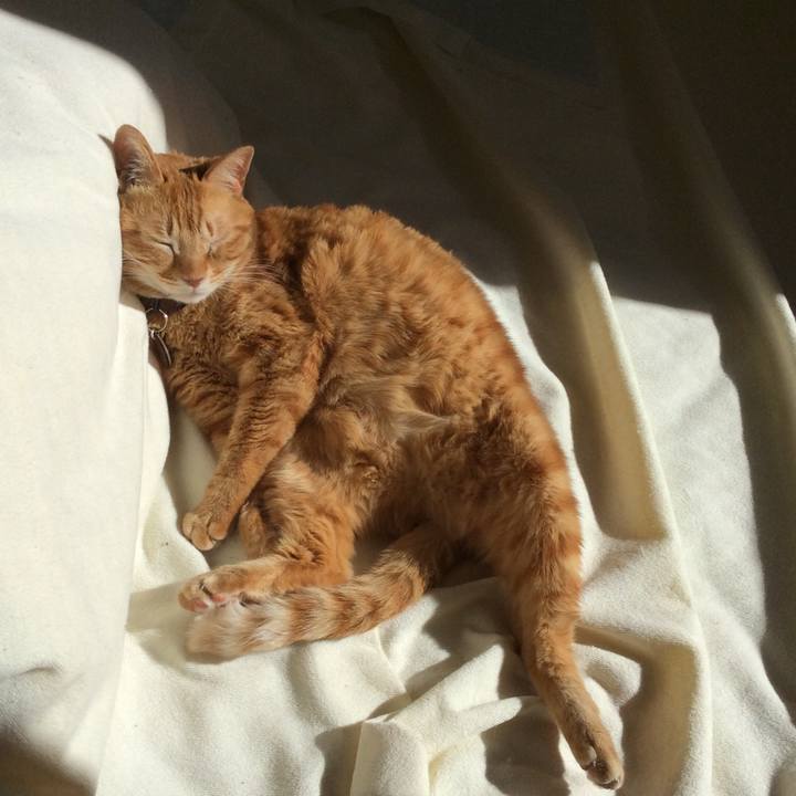 834c6780 ced8 4123 9e44 2e32901d8334