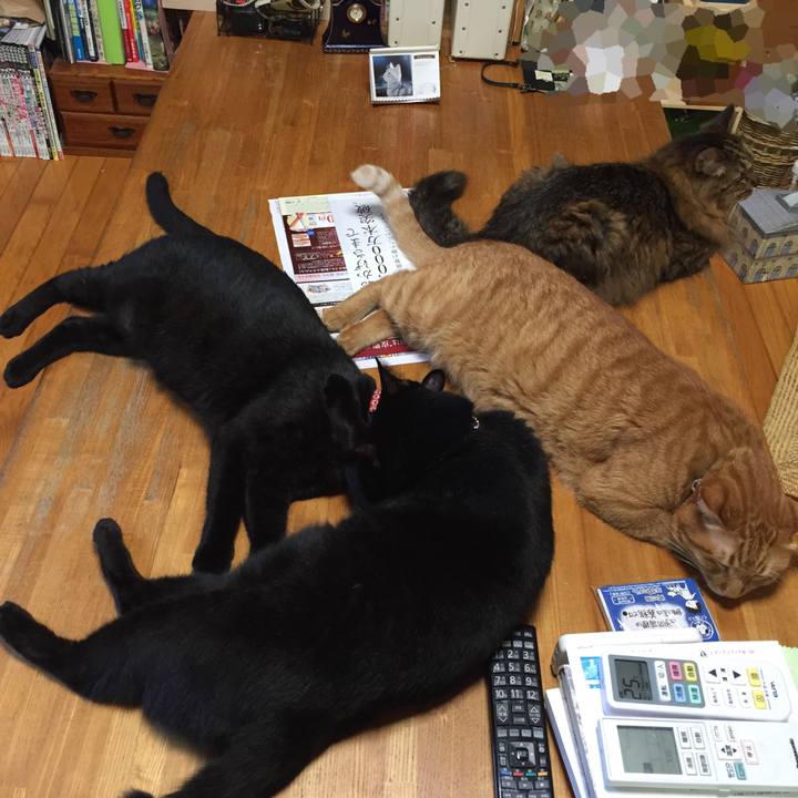 834d2f9c 1185 46ef 8ba1 823552076590