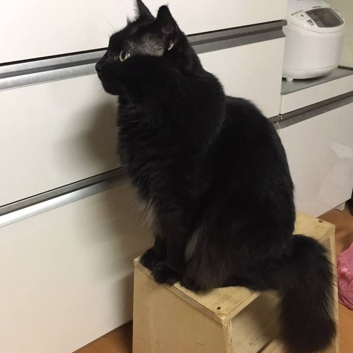 834d3c58 3733 4ef8 bec5 537f2ed84906