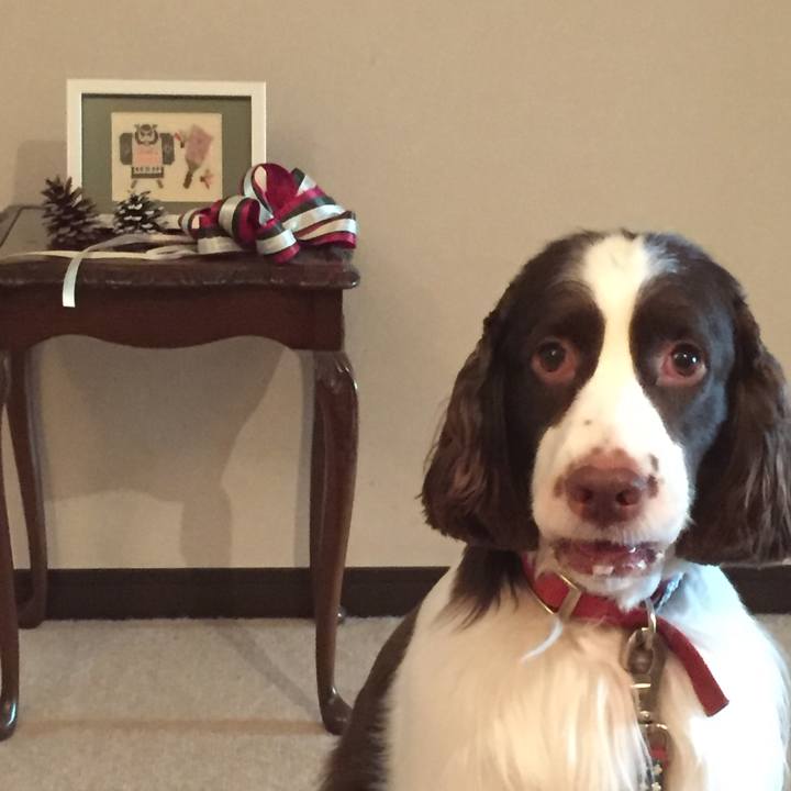 834e0d18 7410 42b3 a703 86af32f25daf