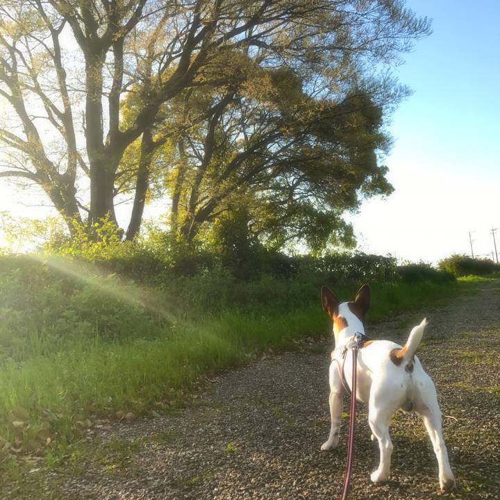 834e804e 50fd 474f a7c0 70a4d3963deb