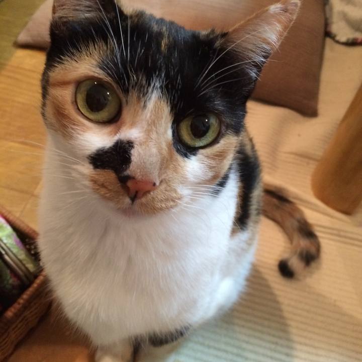 834e9bd0 8c41 4d4a 98c9 60d270530779